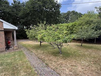Picture 25